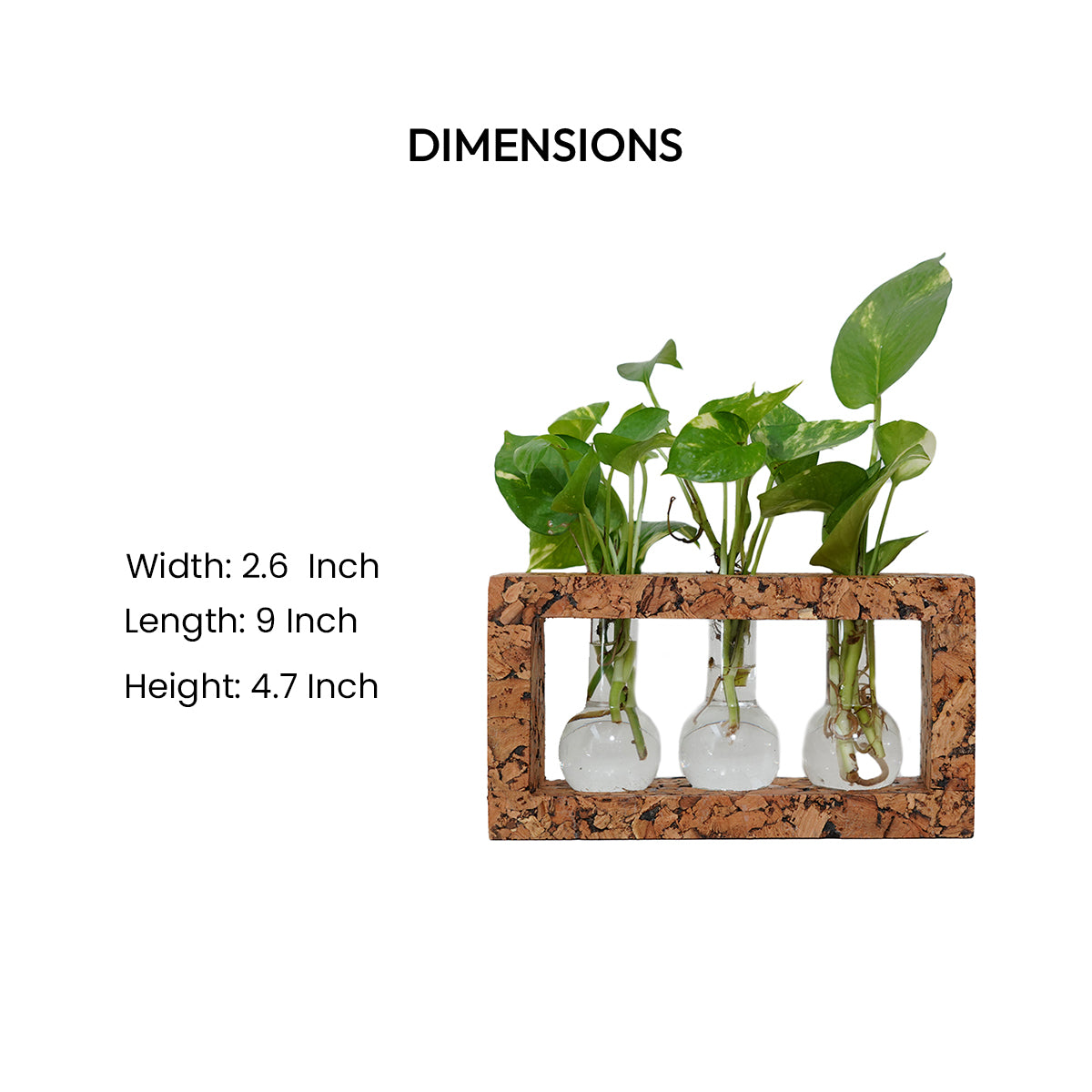 Cork Essentials 3 beaker planter dimensions