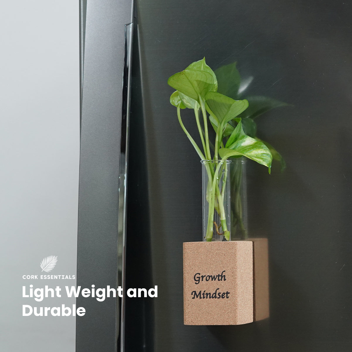 Cork Essentials Growth Mindset fridge magnet planter