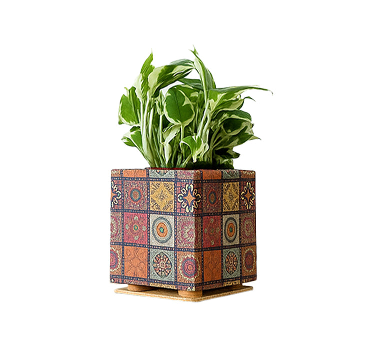 Mandala cork planter white background by Cork Essentials