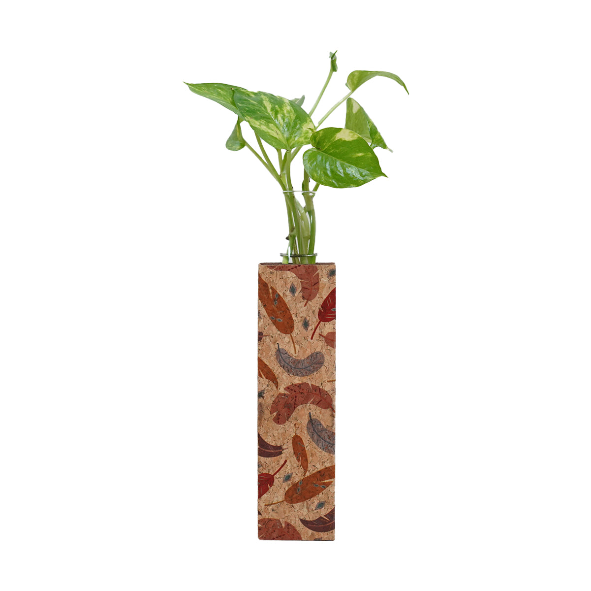Cork Essentials feather test tube planter on white background