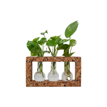 Cork Essentials 3 beaker cork planter on white background