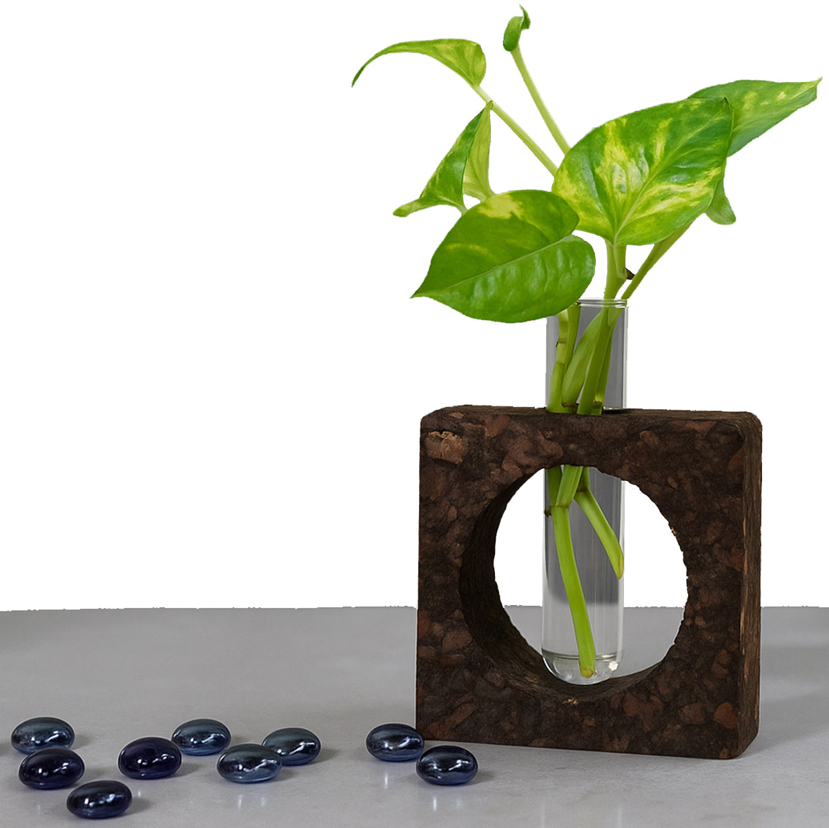 Cork Essentials cork bark planter on white background