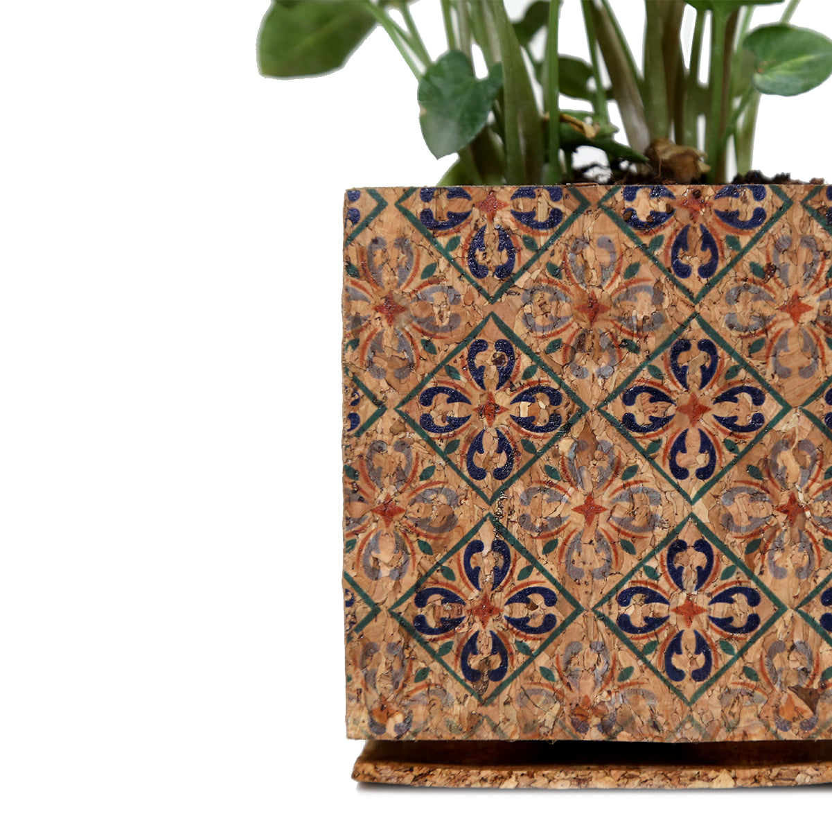 Cork Essentials diamond planter on white background