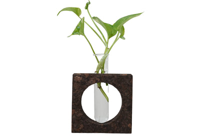 Cork Essentials cork bark planter on white background