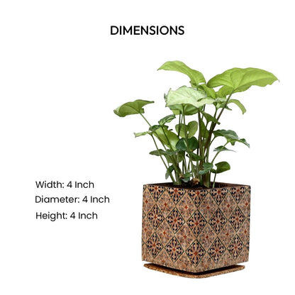 Cork Essentials diamond planter dimensions