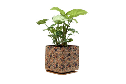 Cork Essentials diamond planter on white background