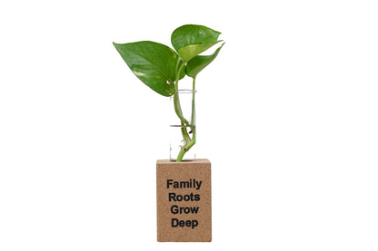 Cork Essentials Family Roots Grow Deep fridge planter