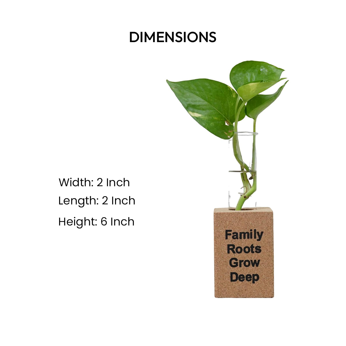 Cork Essentials family roots fridge planter dimensions