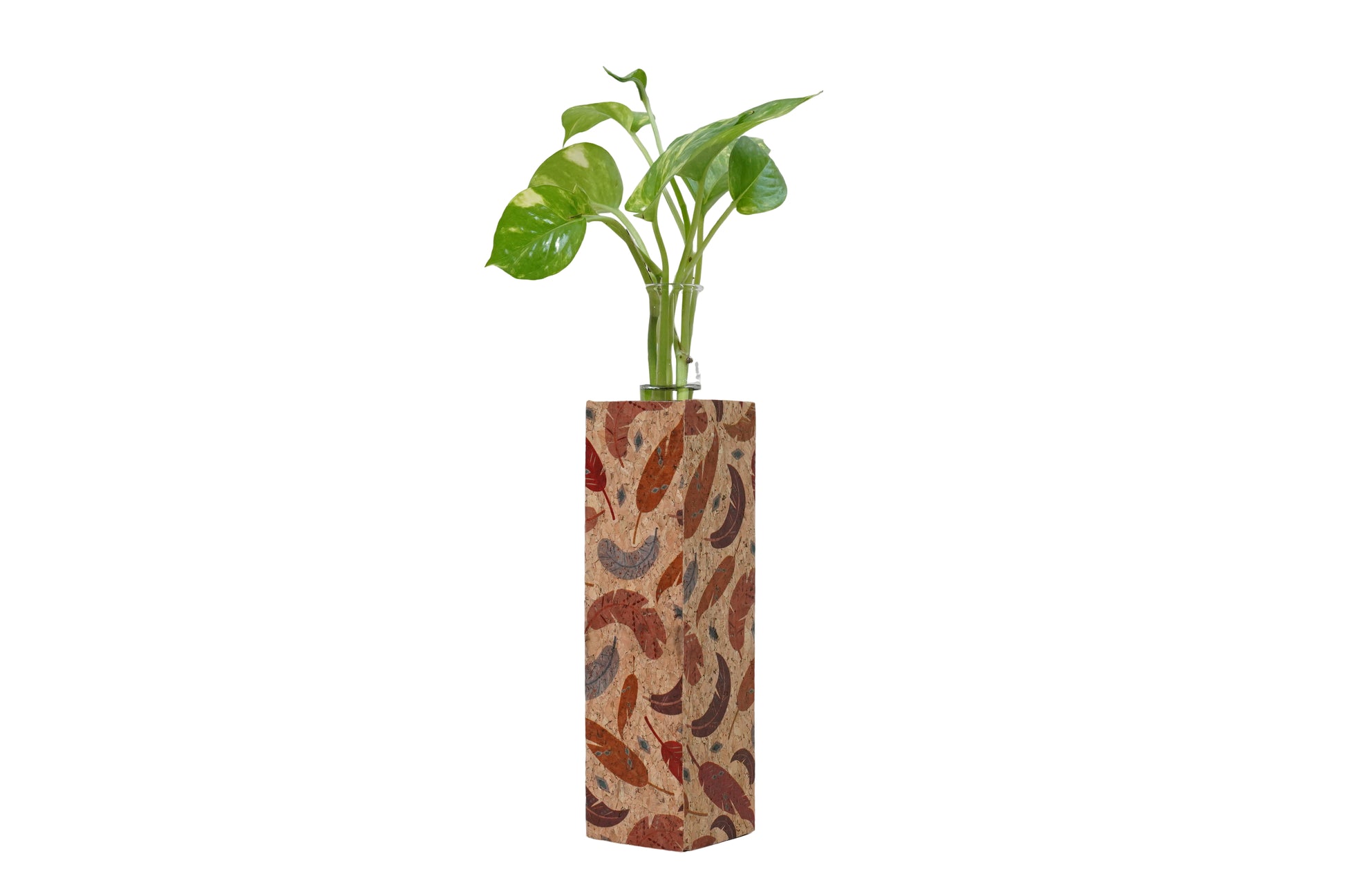 Cork Essentials feather print test tube planter