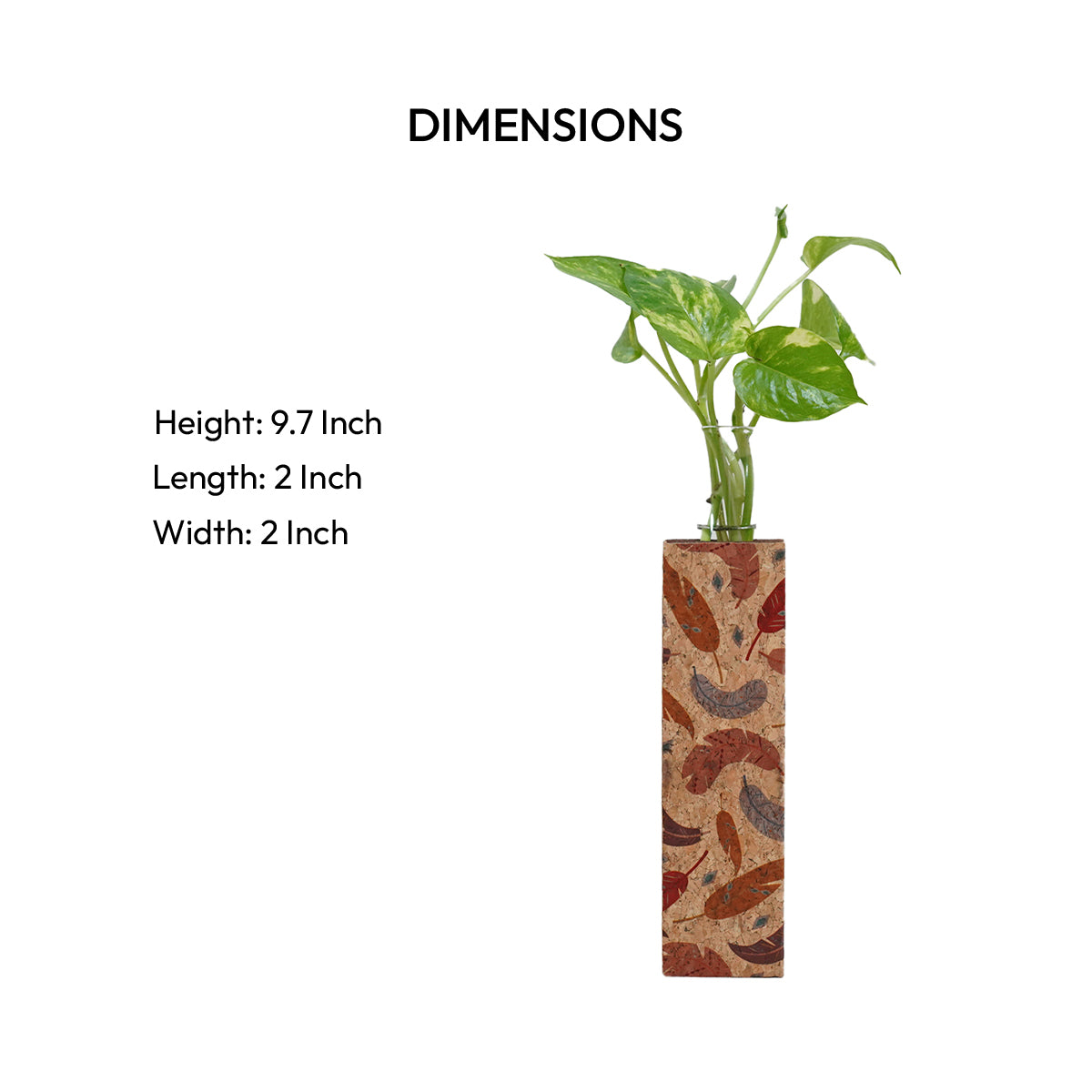 Cork Essentials feather planter dimensions and size