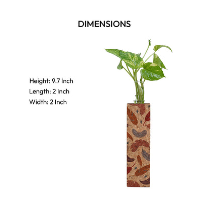 Cork Essentials feather planter dimensions and size