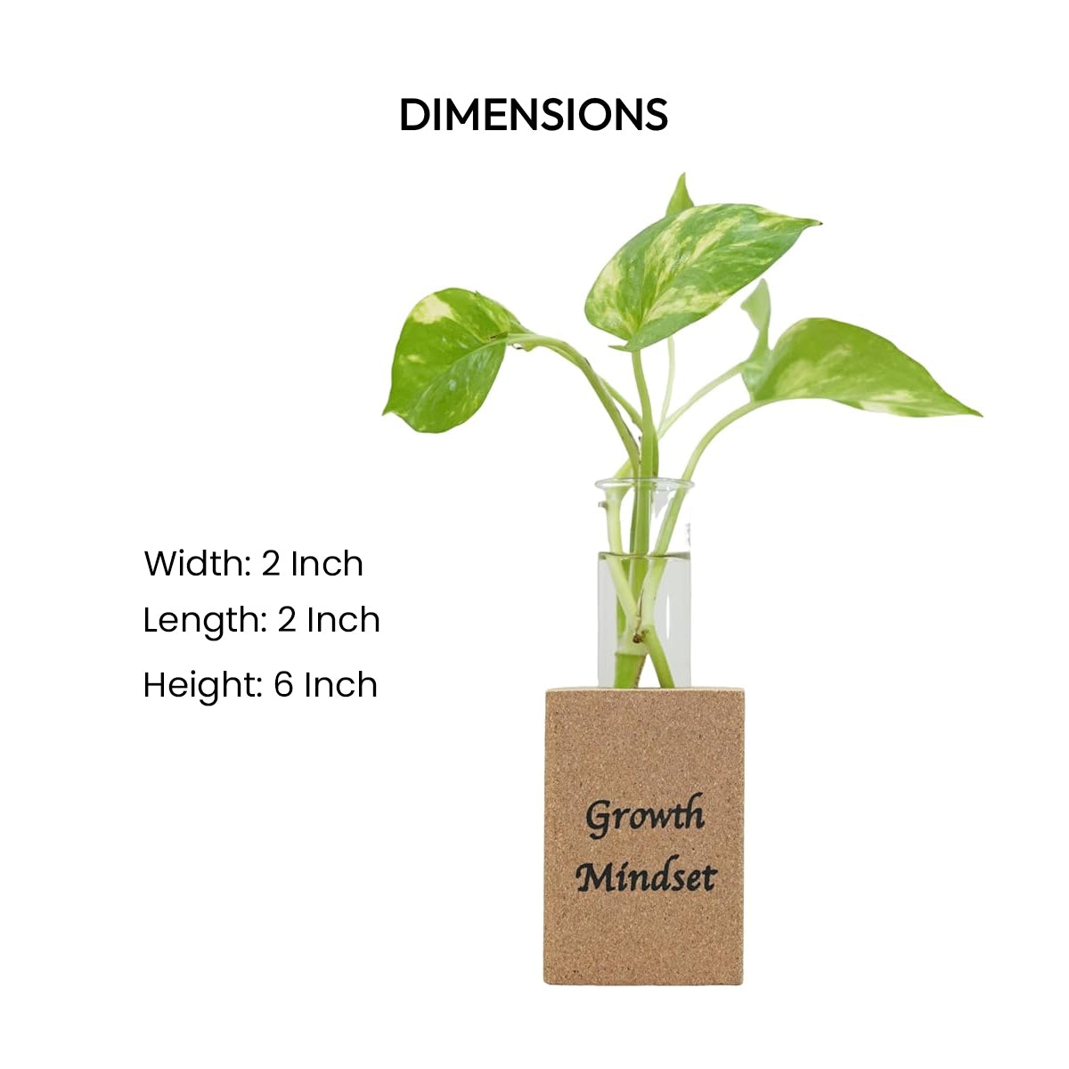 Cork Essentials Growth Mindset planter dimensions