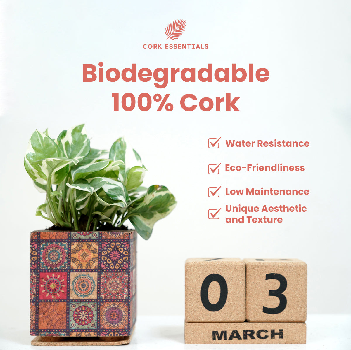 Eco-friendly mandala cork planter by Cork Essentials