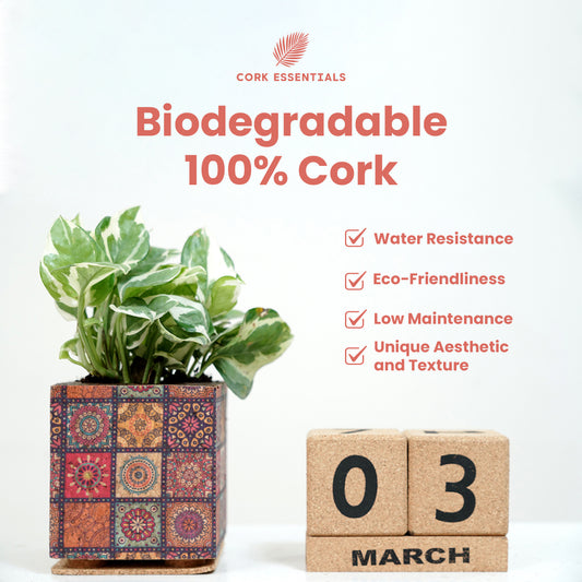 Eco-friendly mandala cork planter by Cork Essentials