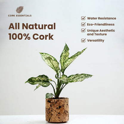 Cork Essentials all natural 100% round cork planter