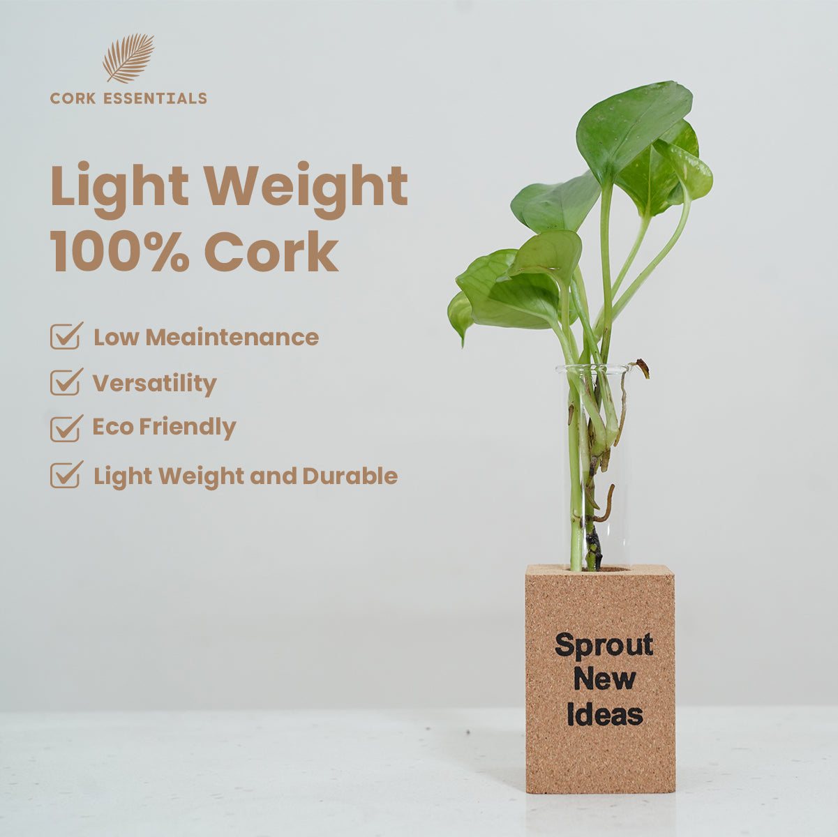 Lightweight 100% cork planter by Cork Essentials