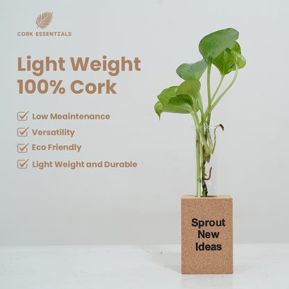 Lightweight 100% cork planter by Cork Essentials