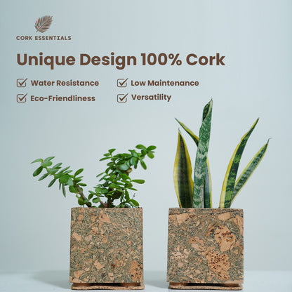Cork Essentials unique cork planters with plants