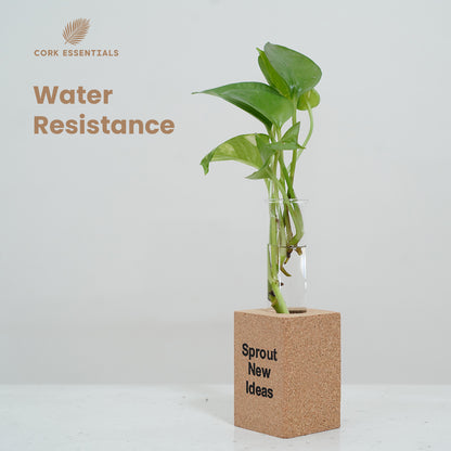 Water-resistant Cork Essentials Sprout New Ideas planter