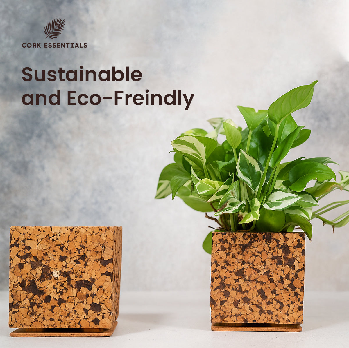 Cork Essentials eco-friendly chocochip planters