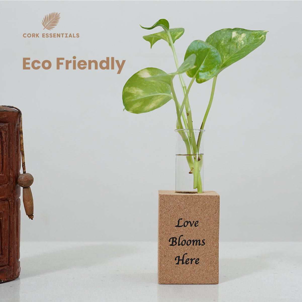 Cork Essentials eco-friendly Love Blooms Here planter