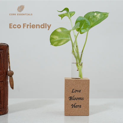 Cork Essentials eco-friendly Love Blooms Here planter