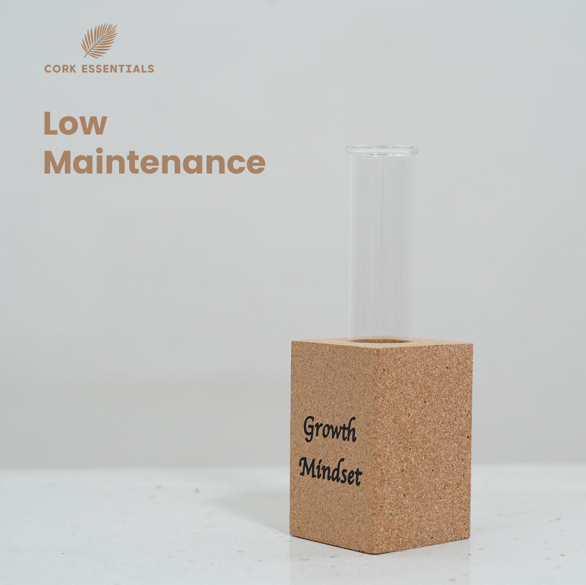 Cork Essentials low maintenance growth mindset planter