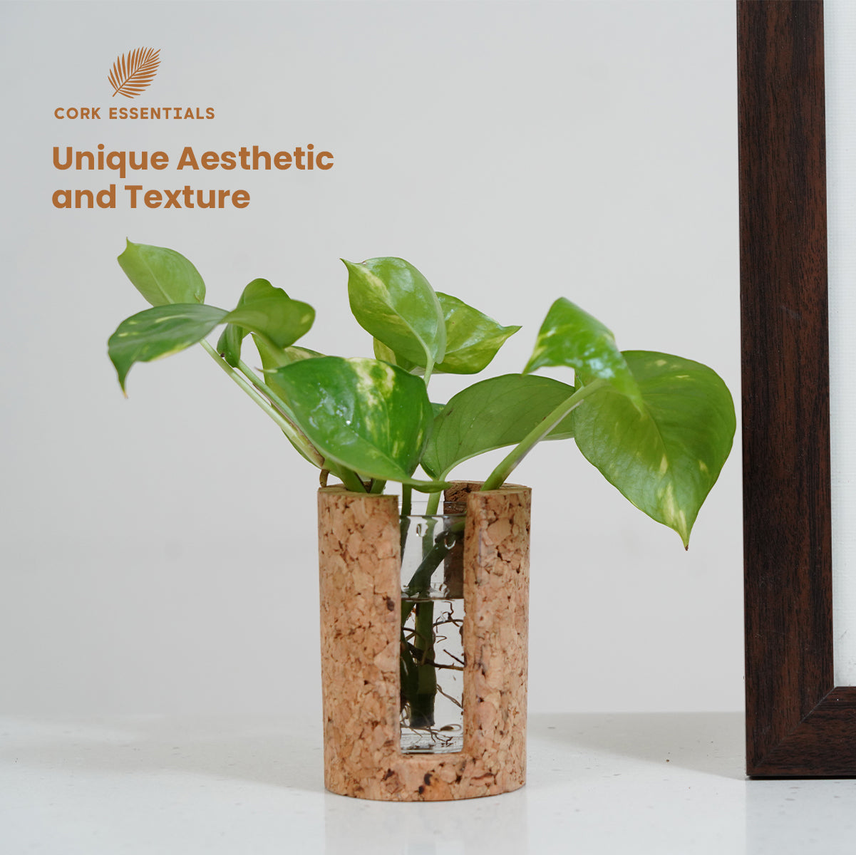 Cork Essentials unique texture test tube planter