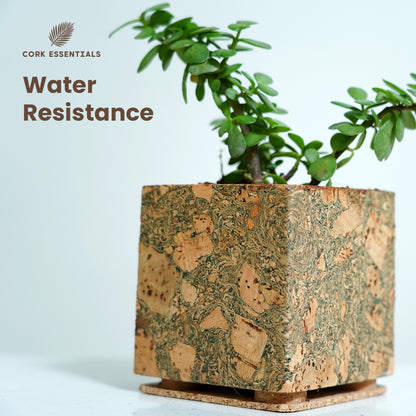 Cork Essentials water-resistant cork planter with plant
