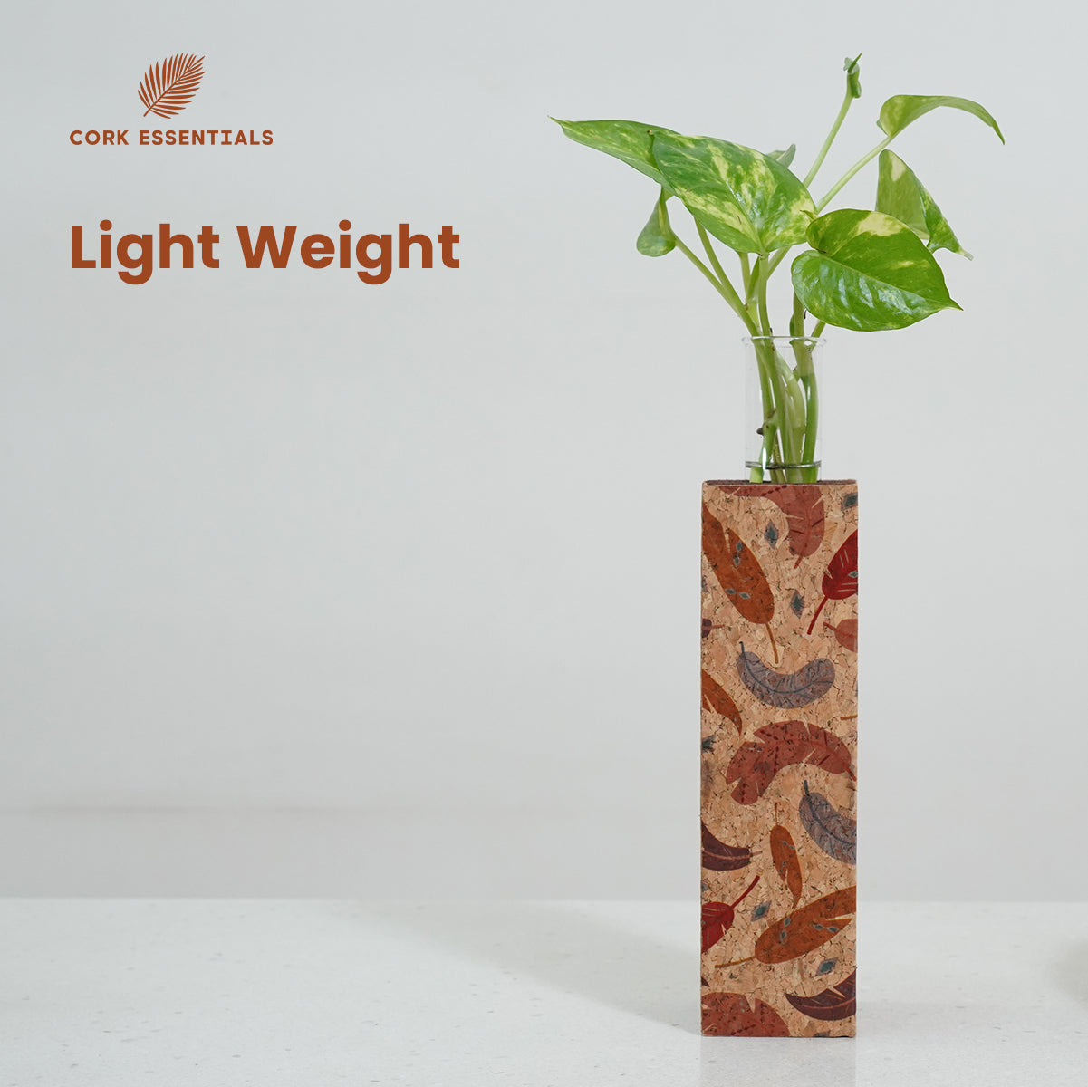Cork Essentials lightweight feather test tube planter