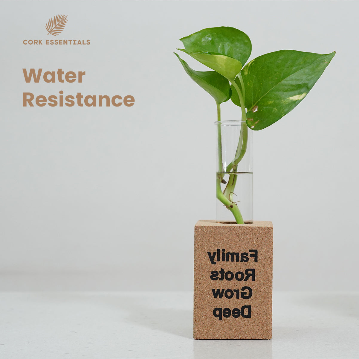 Cork Essentials water resistant family roots planter