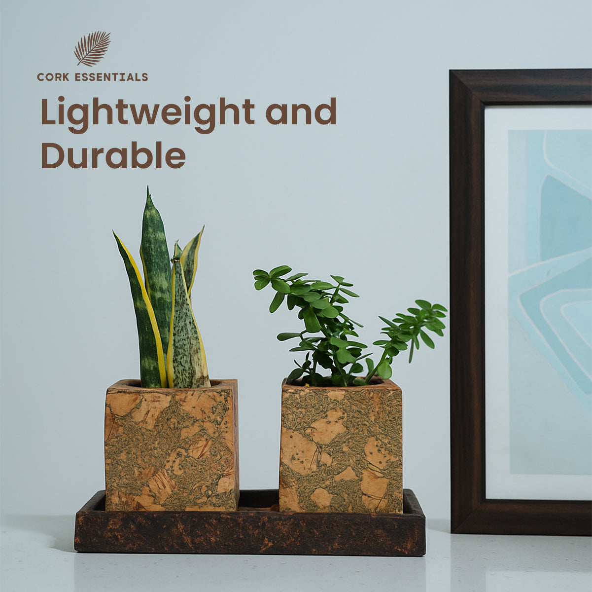 Cork Essentials lightweight durable cork planters