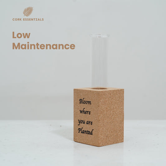 Cork Essentials low maintenance magnet planter