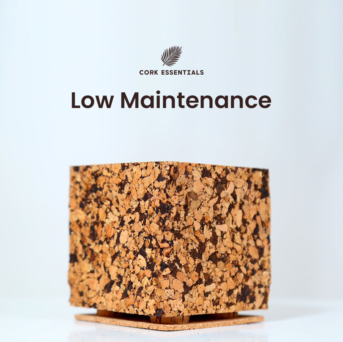 Cork Essentials low maintenance chocochip planter
