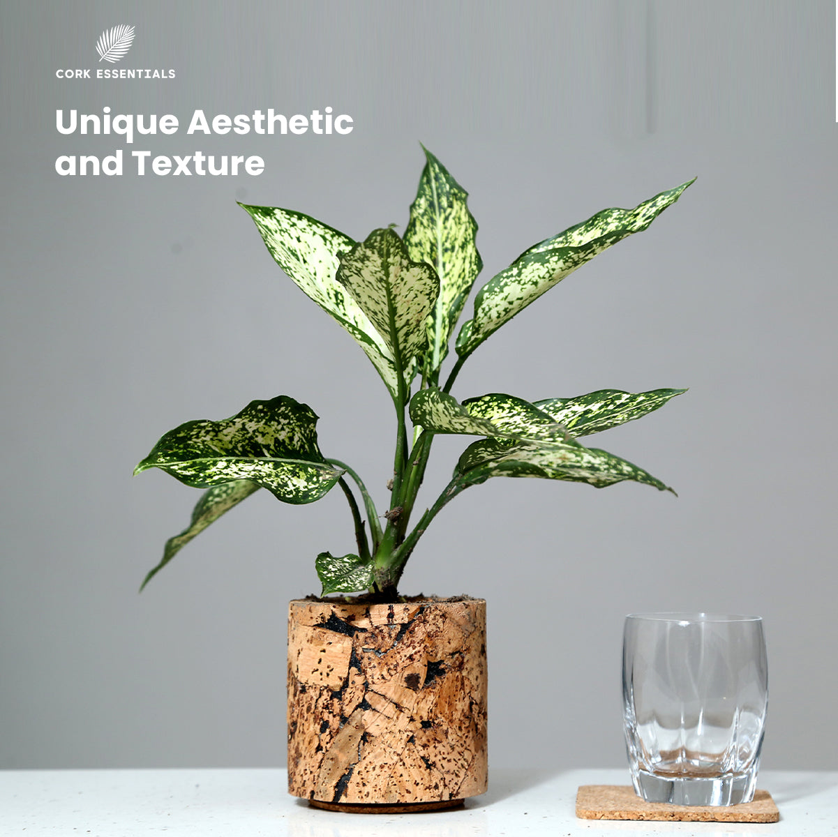 Cork Essentials round cork planter with plant