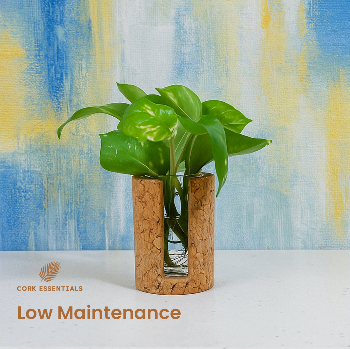 Cork Essentials low maintenance cylindrical planter