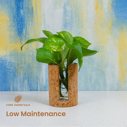 Cork Essentials low maintenance cylindrical planter