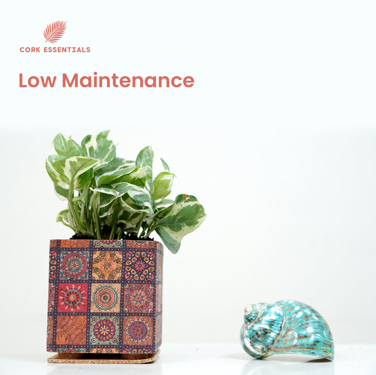 Low maintenance mandala print planter by Cork Essentials