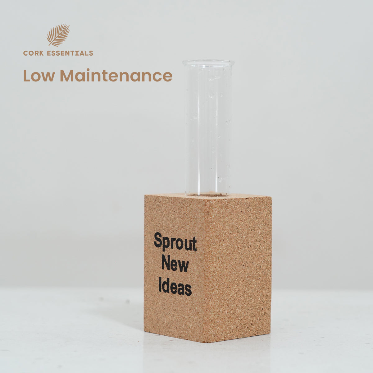 Low-maintenance Cork Essentials Sprout New Ideas planter