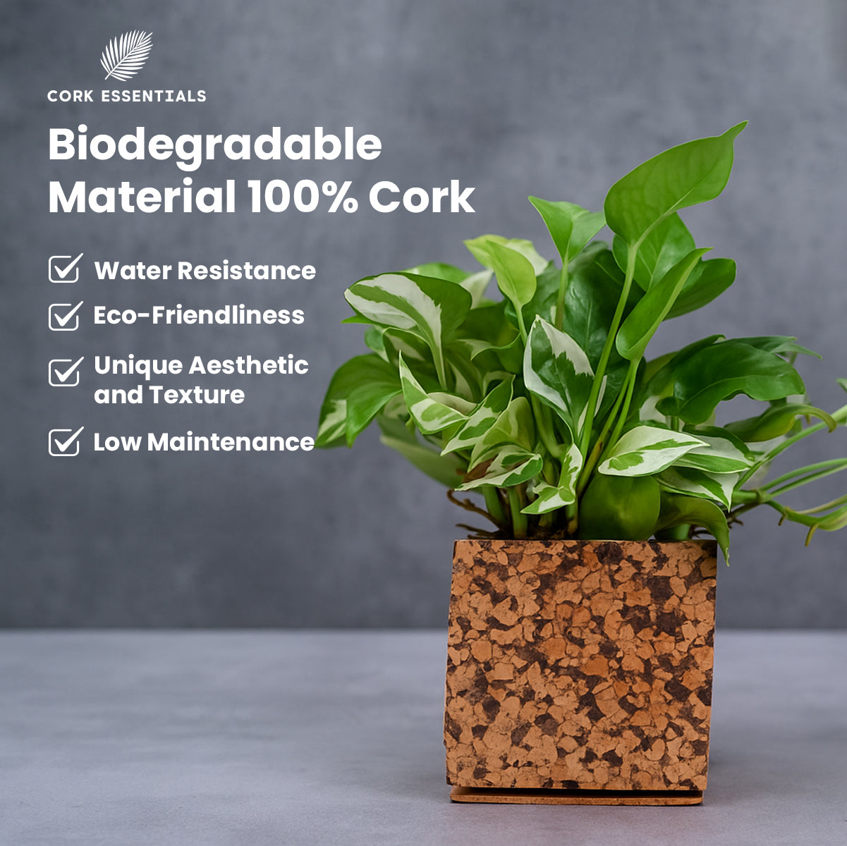 Cork Essentials biodegradable chocochip planter