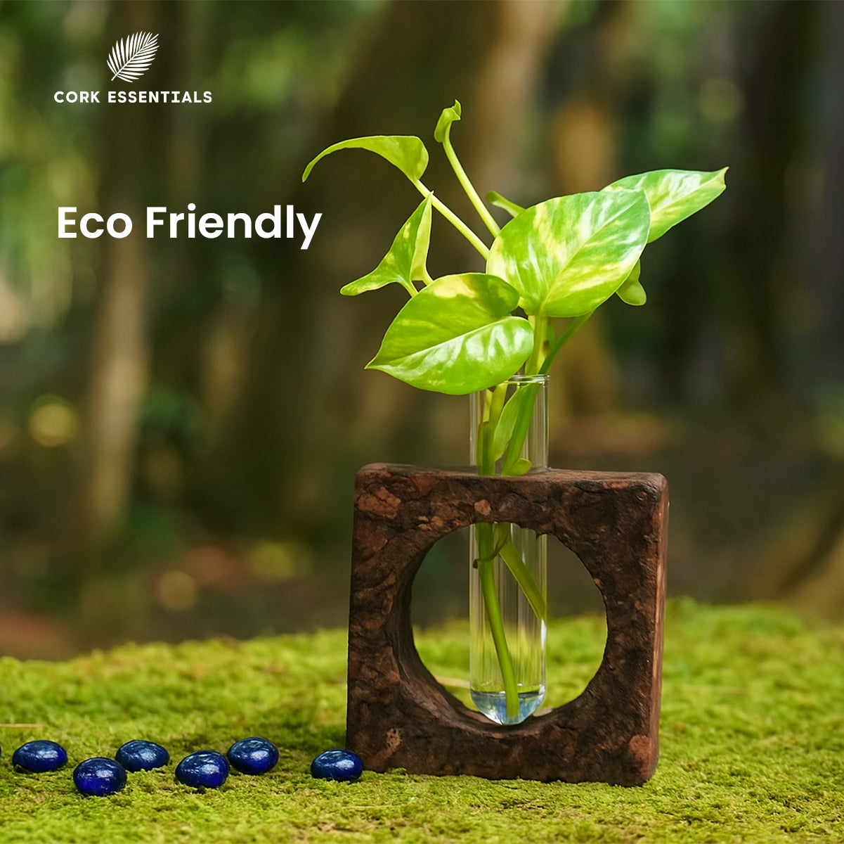 Cork Essentials eco-friendly cork bark planter