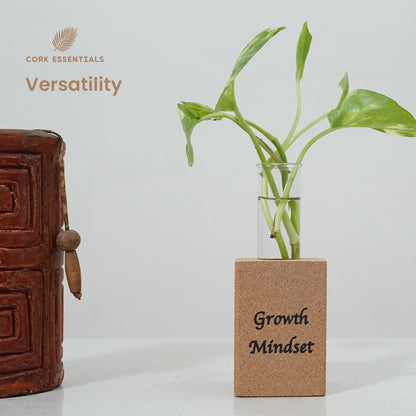 Cork Essentials versatile growth mindset planter