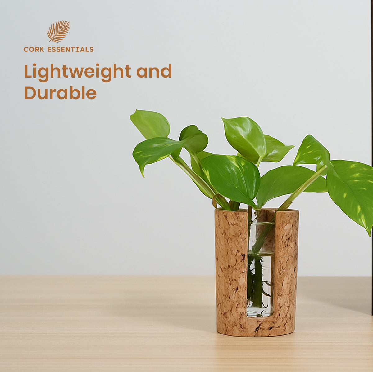 Cork Essentials durable test tube planter