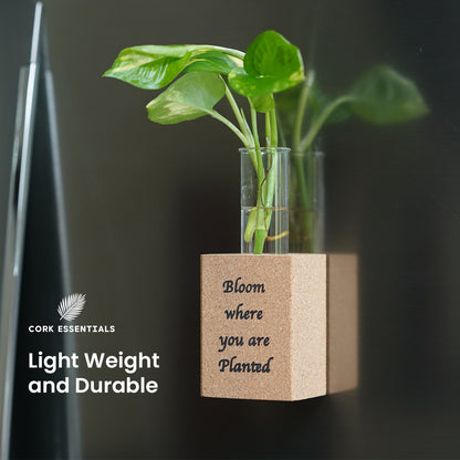 Cork Essentials lightweight magnet planter on fridge
