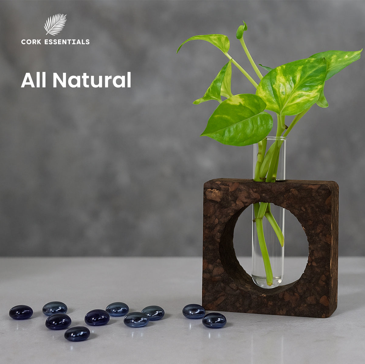 Cork Essentials all natural cork bark planter