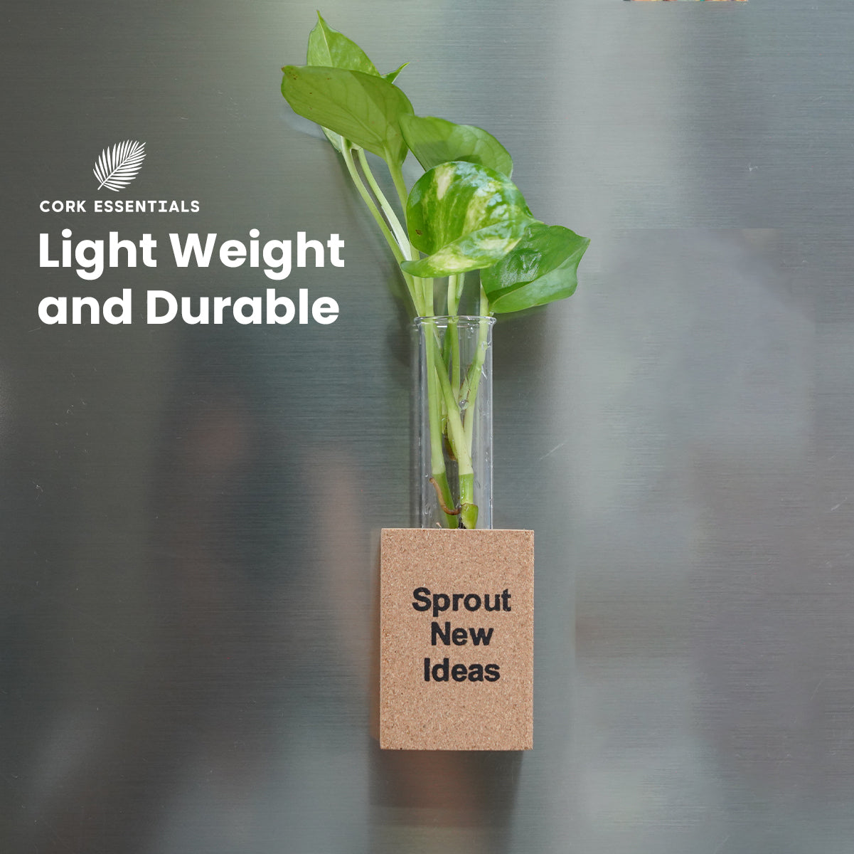 Lightweight Cork Essentials Sprout New Ideas planter
