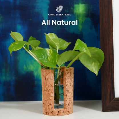 Cork Essentials all natural test tube planter