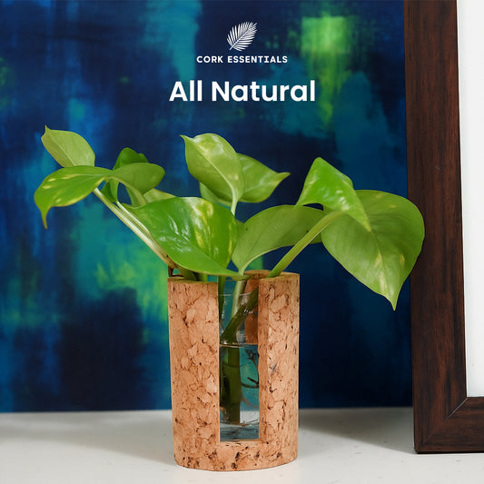 Cork Essentials all natural test tube planter