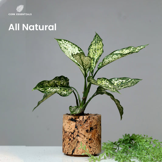 Cork Essentials all natural round cork planter