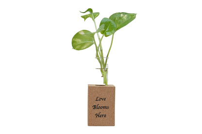 Cork Essentials Love Blooms Here fridge planter